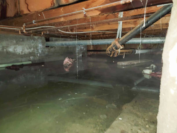 Best Water damage restoration near me  in Brady, TX