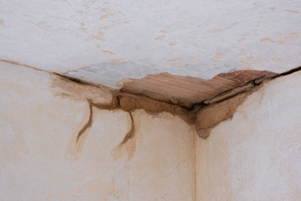 Best Flood restoration services  in Brady, TX