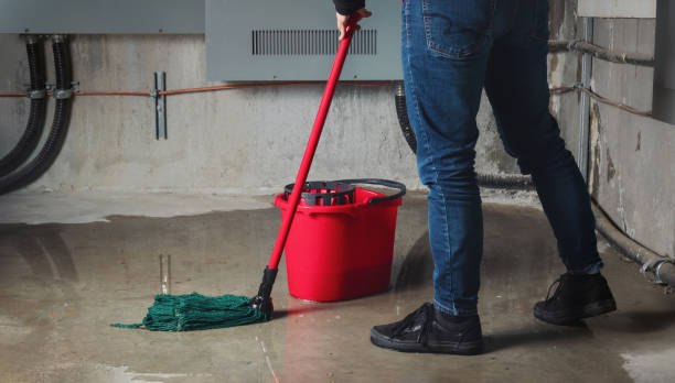 Best Ceiling water damage repair  in Brady, TX