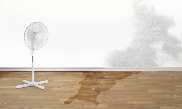  Brady, TX Water damage restoration Pros