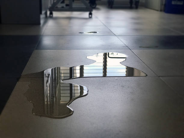 Best Carpet water damage restoration  in Brady, TX