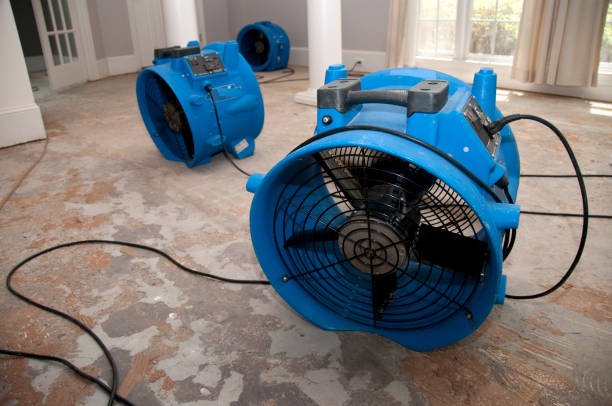 Best Water damage restoration near me  in Brady, TX