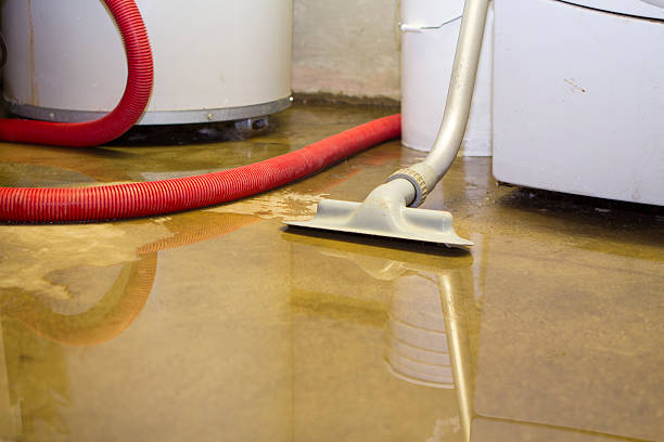 Best Professional water damage repair  in Brady, TX
