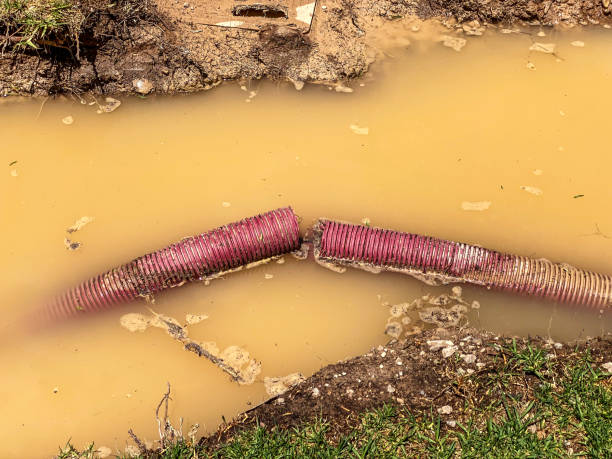 Best Water damage contractors near me  in Brady, TX